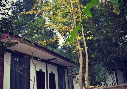 1638933802580085908.jpg 5104942812183631319.jpg