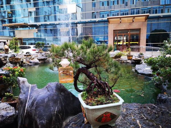 1645669516248071679.jpg dc4b9470818b44c1ab35e7d883b21ec8.jpg