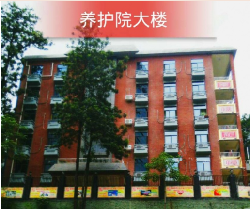 1656484046426048275.png 四川.png