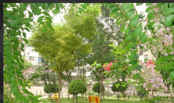 1658743736336039084.png 北京4.png