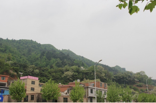 1660108719024055911.png 1660108719024055911.png