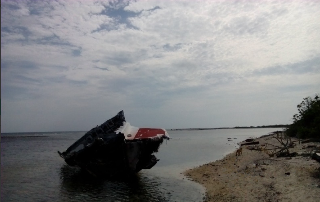 1660549473216001341.png 1660549473216001341.png