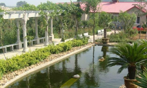 1661172384701010412.png 1661172384701010412.png