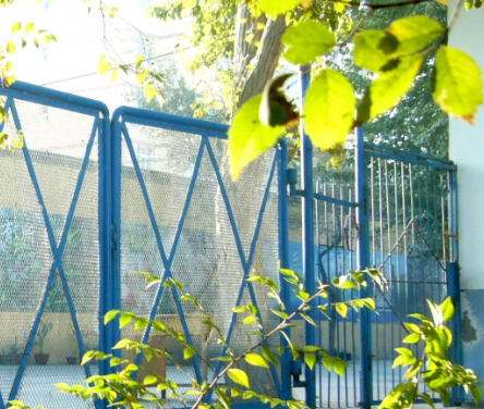 1661350112900075394.png 1661350112900075394.png