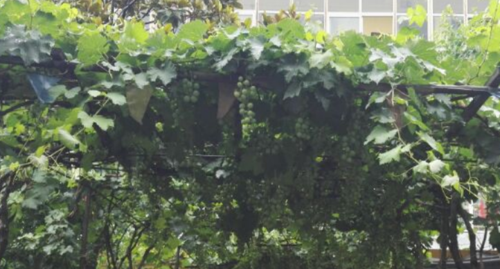 1663491853145037606.png 1663491853145037606.png