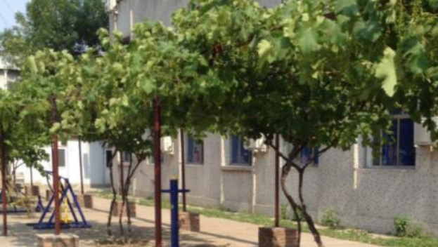 1667918868661073465.png 1667918868661073465.png