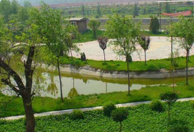 1678547204533091741.png 1678547204533091741.png