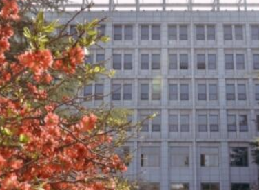 1678547293123045151.png 1678547293123045151.png