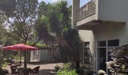 1681656493479083202.png 1681656493479083202.png