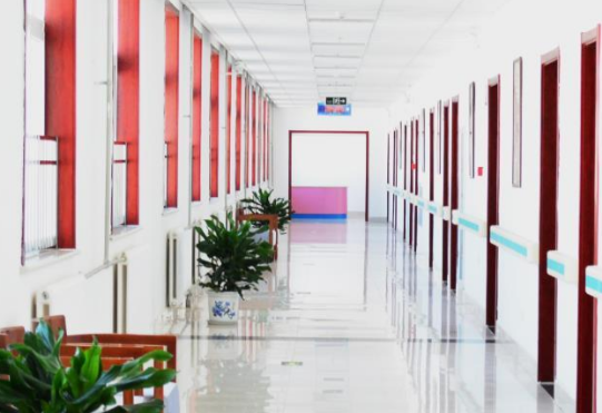 1683105804054029971.png 1683105804054029971.png