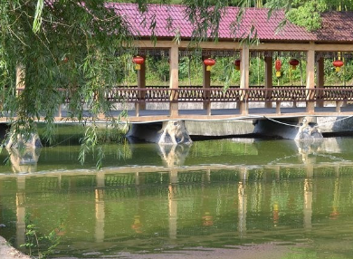 1683968073958038977.png 1683968073958038977.png