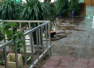 1684639784743001003.png 1684639784743001003.png