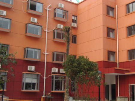 1685199999572013216.png 1685199999572013216.png