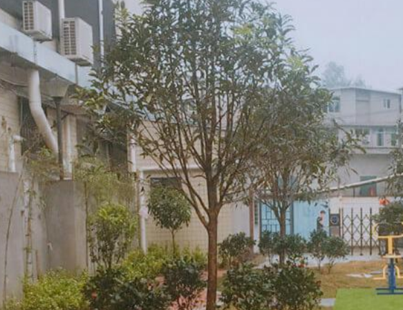 1685200121917055164.png 1685200121917055164.png