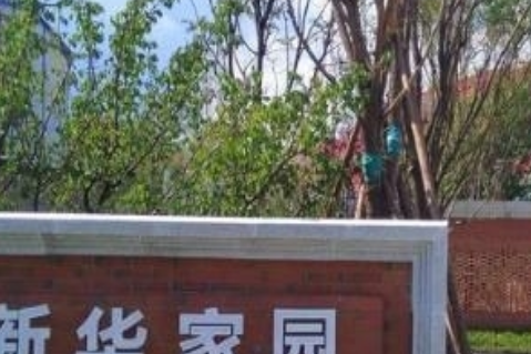 1687518397979065308.png 1687518397979065308.png