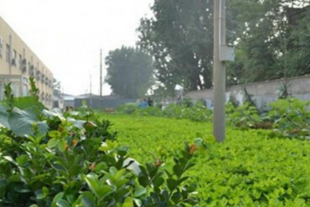 1687526774150051587.png 1687526774150051587.png