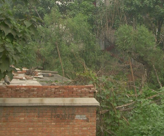 1687588568781006973.png 1687588568781006973.png