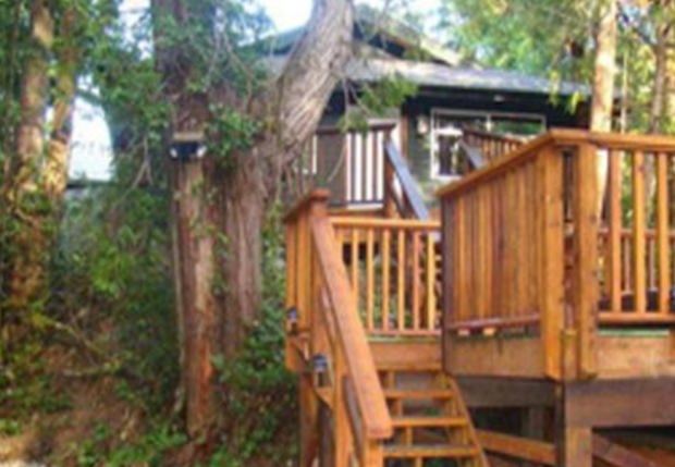 1687597979782040918.png 1687597979782040918.png