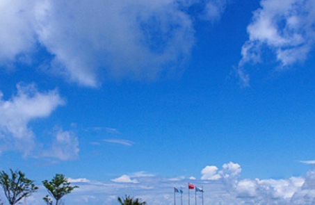 1688265419581000905.png 1688265419581000905.png