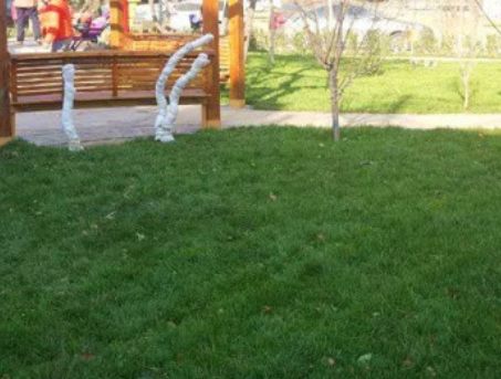 1690379864600061198.png 1690379864600061198.png