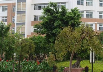 1691203146602003775.png 1691203146602003775.png