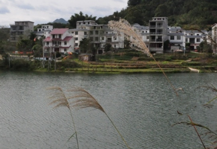 1693639023718092395.png 1693639023718092395.png