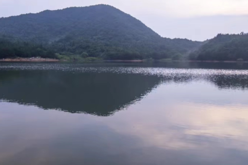 1693747422533080983.png 1693747422533080983.png