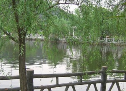 1693747494736088357.png 1693747494736088357.png