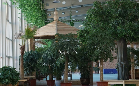 1696520228801058601.png 1696520228801058601.png