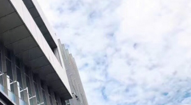 1699171616219062360.png 1699171616219062360.png