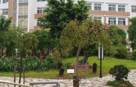 1699174142585081795.png 1699174142585081795.png