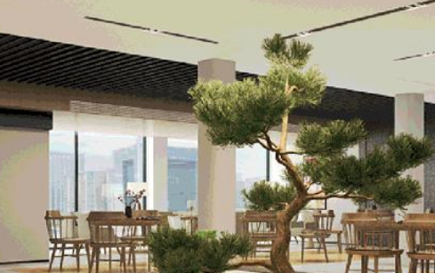 1699278145414063214.png 1699278145414063214.png