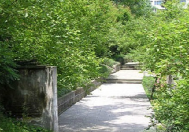 1699280358670089549.png 1699280358670089549.png