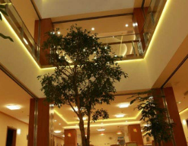 1699370725014073061.png 1699370725014073061.png