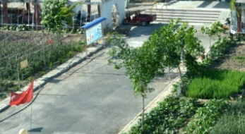 1699371161180040385.png 1699371161180040385.png