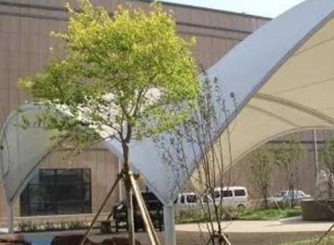 1699375864019099623.png 1699375864019099623.png