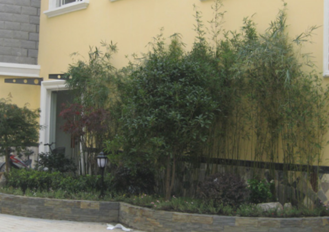 1701084745484070085.png 1701084745484070085.png