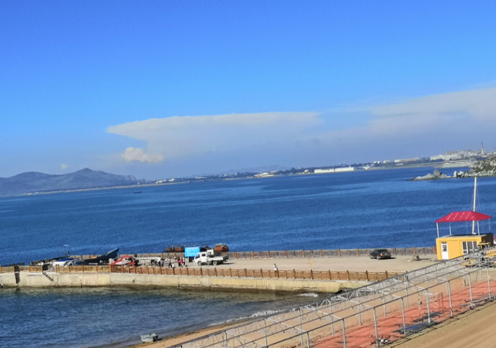 1701441878031098653.png 1701441878031098653.png