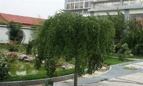 1701765758316094356.png 30 (22).png