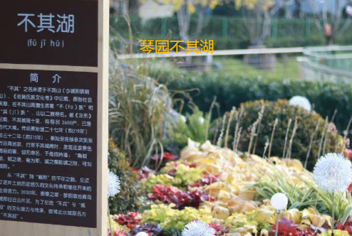 1713336028537066588.png 1713336023915.png