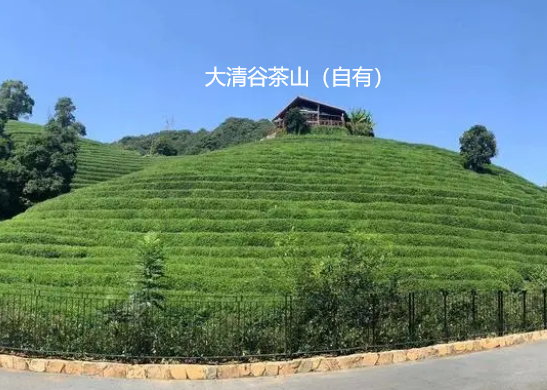 1716605763364071964.png 1716605759764.png