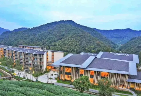 1720755593346013800.png 1720755588757.png