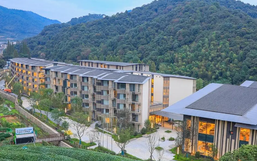 1720756604102005063.png 1720756600345.png