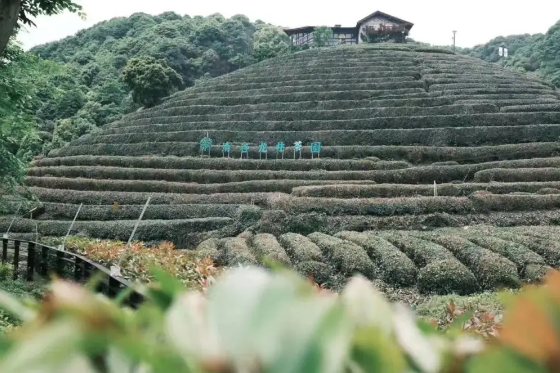 1720756625445007526.png 1720756621386.png