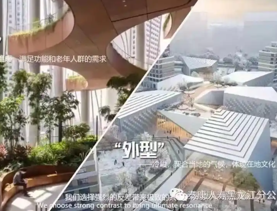 1747204142832084830.png 1747204138902.png