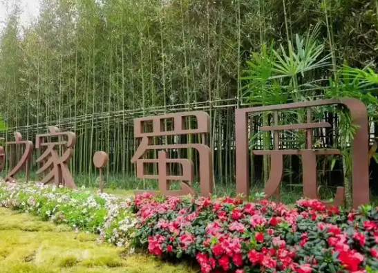 1749108742245018079.png 1749108726756.png