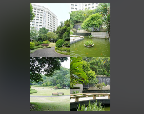 1764833577277044050.png 5bbe6af3-2268-4ac9-808a-7902b95fcf60.png