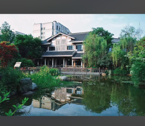 1765160737698064168.png 1de06947-2c5f-41cb-8f4d-c60cdbe2a6e8.png