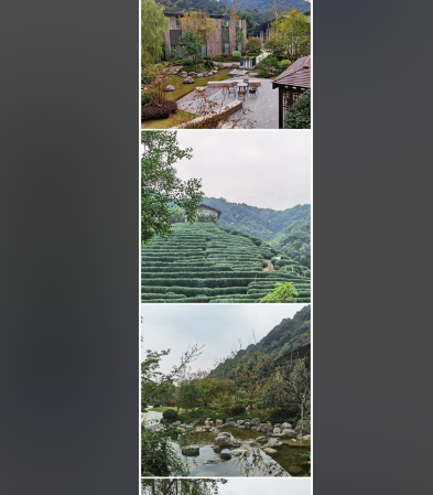 1765769046342076286.png 7f3e281c-3e42-4e94-b506-149c0c76037c.png