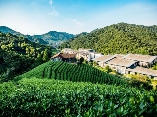 1765769064513042473.png 8d2f9811-1691-41dc-9c2f-3d3aa9c7d528.png